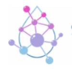Synthesis Peptides Profile Picture